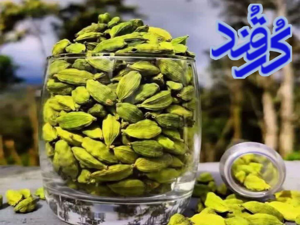 خرید هل اکبربنفش
قیمت بروز زعفران
خرید و قیمت عمده هل
